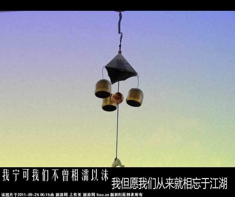 旅游网.jpg