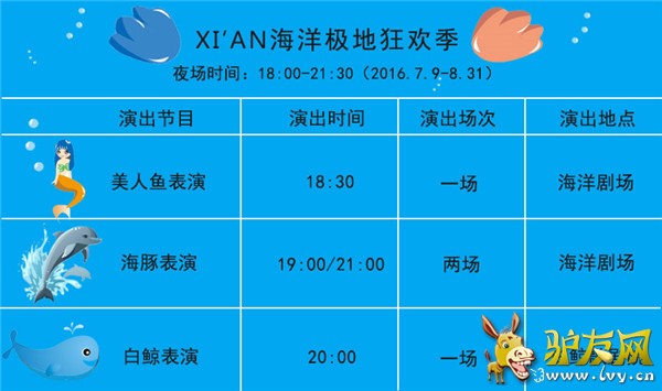 夜场表演时间.jpg